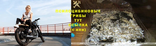стафф Арсеньев