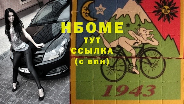 стафф Арсеньев