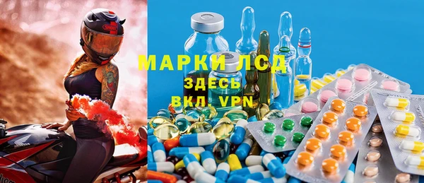 стафф Арсеньев
