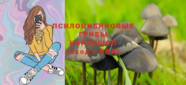 стафф Арсеньев